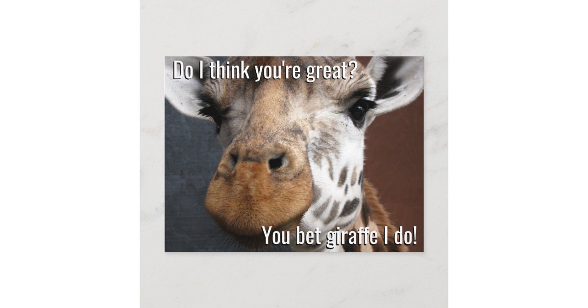 giraffe encouragement