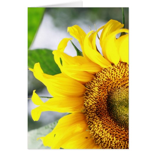 You bright up my life (Front)