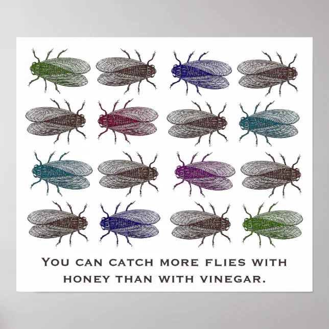 You Can Catch More Flies With Honey Than Vinegar Poster Zazzle