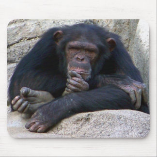 You can do it_ Mousepad_by Elenne Mouse Pad