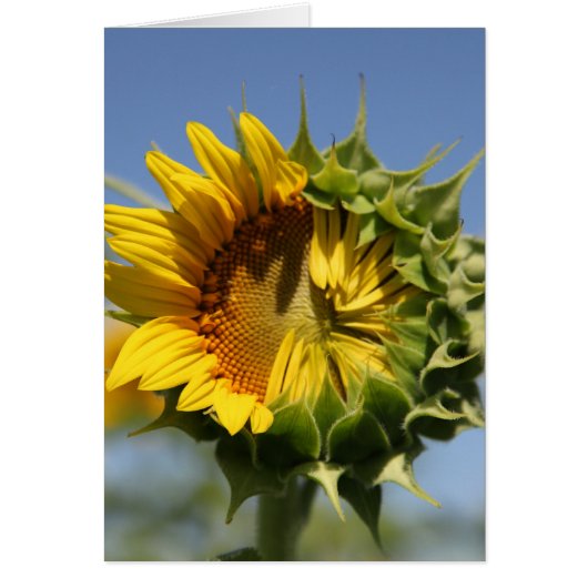 You can do this (Front)