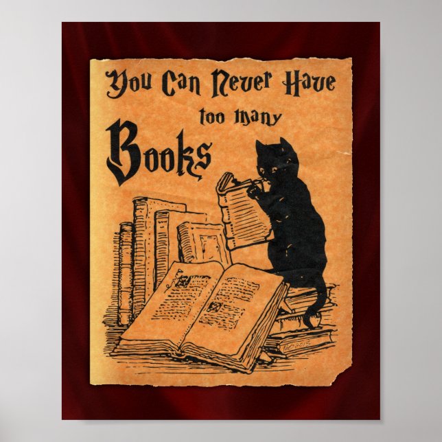 You Can Never Have Too Many Books Cat Poster (Front)