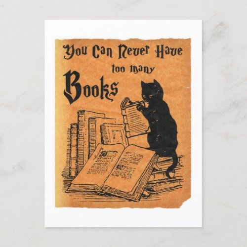 You Can Never Have Too Many Books Cat White Postcard