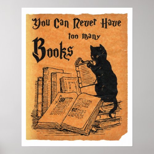 You Can Never Have Too Many Books Cat White Poster