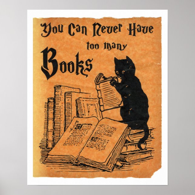 You Can Never Have Too Many Books Cat White Poster (Front)