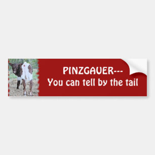 You can tell bumpersticker-customize bumper sticker