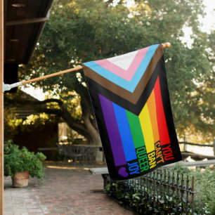 You Can't Ban Queer Joy (Progress Pride) Flag