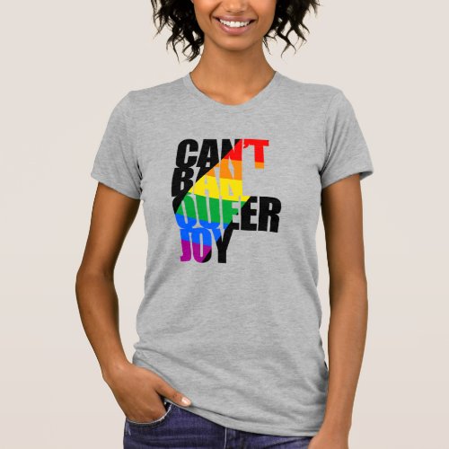 You Cant Ban Queer Joy T_Shirt