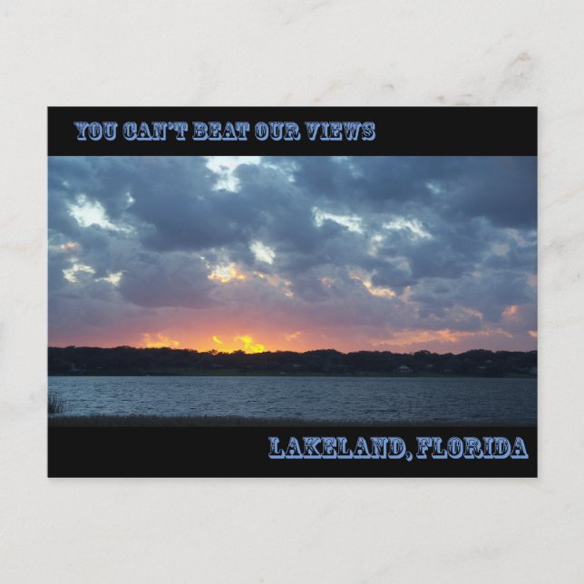 You can't beat our Views Lakeland, Florida   003 Postcard (Front)
