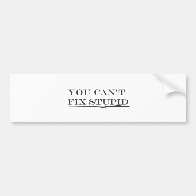 You can't fix.ai bumper sticker (Front)