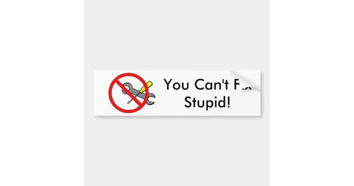 You Cant Fix Stupid Bumper Sticker