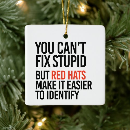 You cant fix stupid but red hats identify it ceramic ornament