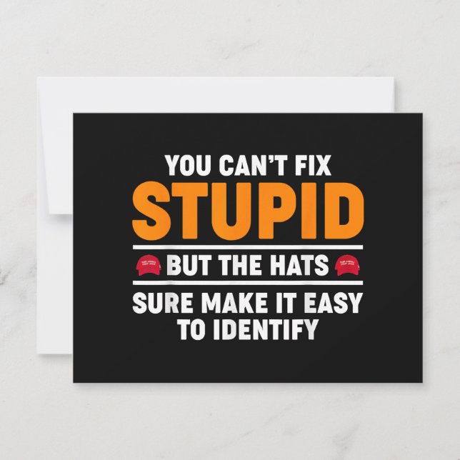 You Can't Fix Stupid But The Hats Sure Make It Eas (Front)