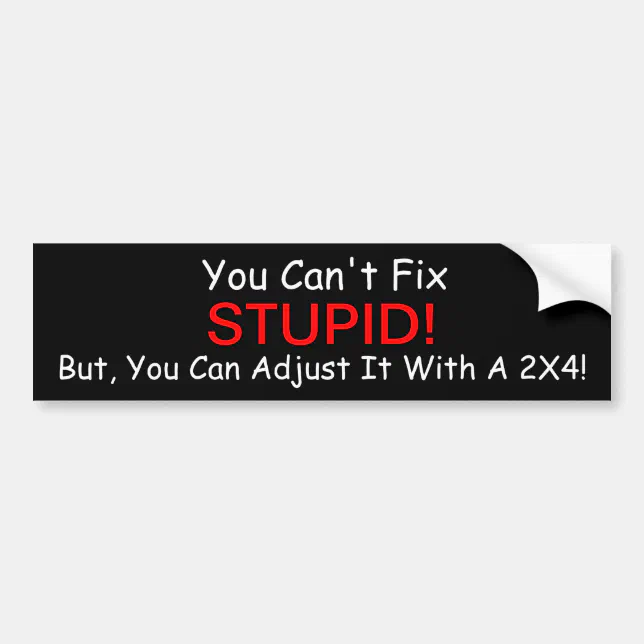 You Can't Fix Stupid. But, You Can Bumper sticker | Zazzle