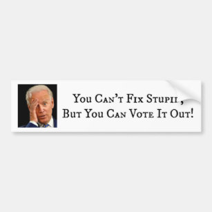 You Can't Fix Stupid, But You Can Vote It Out Bumper Sticker