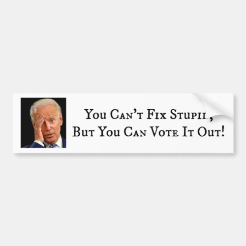 You Cant Fix Stupid But You Can Vote It Out Bumper Sticker