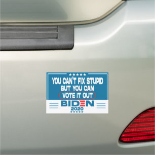 you can't fix stupid but you can vote it out car magnet