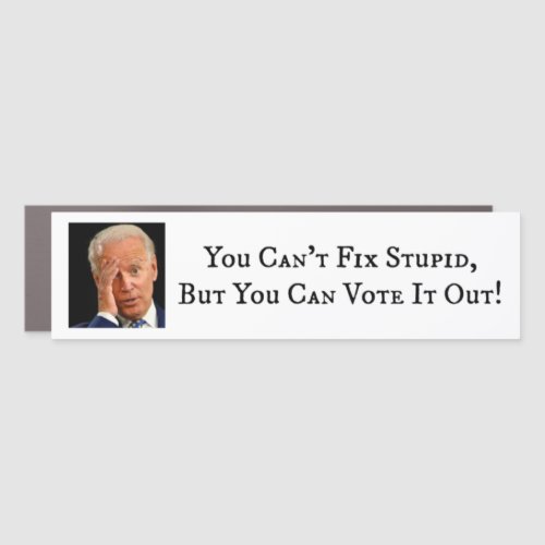 You Cant Fix Stupid But You Can Vote It Out Car Magnet