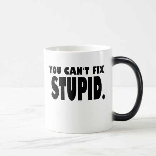 You cant fix stupid magic mug