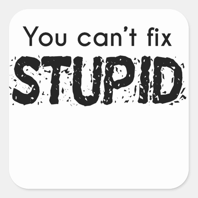 You Can't Fix Stupid Square Sticker (Front)