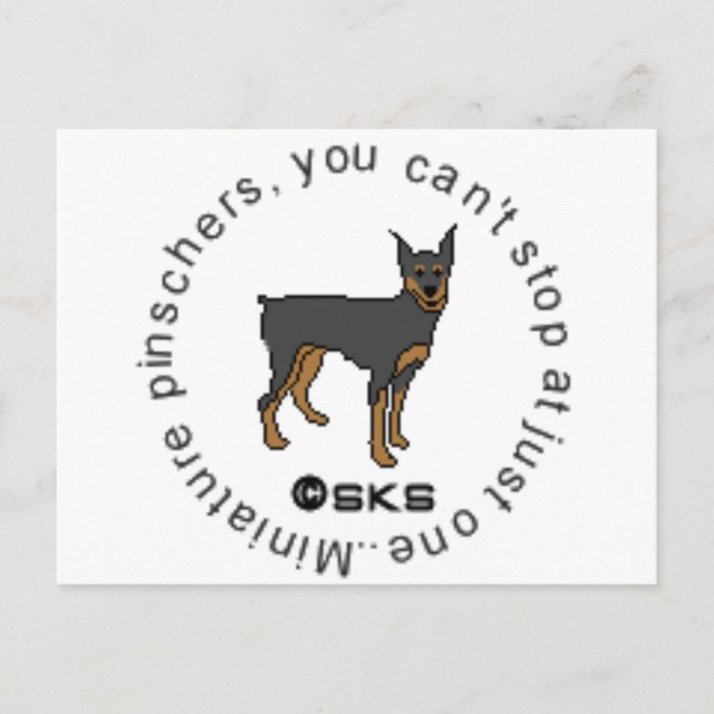 You can't have just one - miniature pinscher postcard (Front)