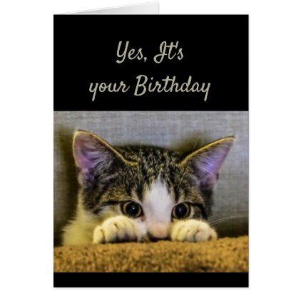 You can&#39;t Hide It&#39;s your Birthday Cute Kitten Card