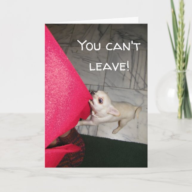 You Can't Leave Chihuahua Greeting Card (Front)