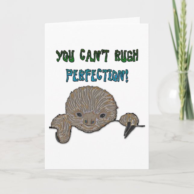 You Can't Rush Perfection Baby Sloth Card (Front)