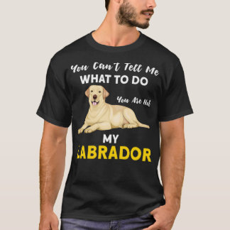You can't tell me what labrador dog Pullover