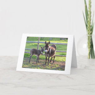 YOU DECIDE **NAUGHTY** OR **NICE** FOR CHRISTMAS HOLIDAY CARD