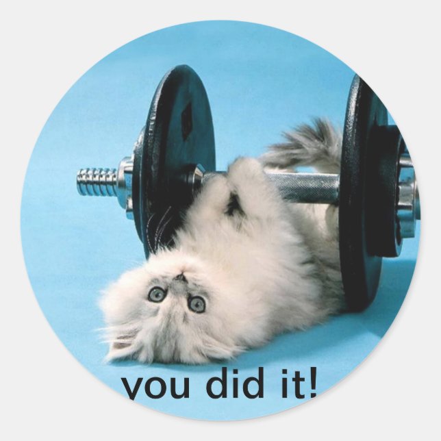 you did it classic round sticker (Front)