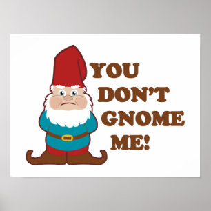 You Dont Gnome Me! Poster