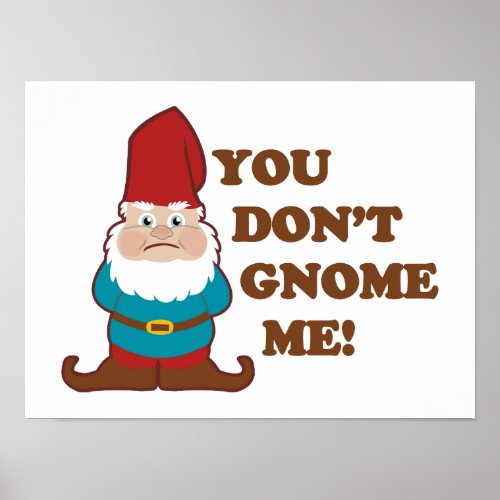 You Dont Gnome Me Poster