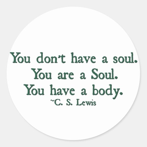 You dont have a soul you are a soul classic round sticker