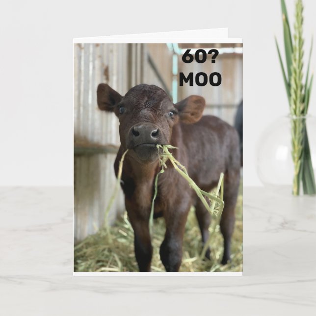 YOU DON'T LOOK A DAY OVER 49 "60th BIRTHDAY" Card (Front)