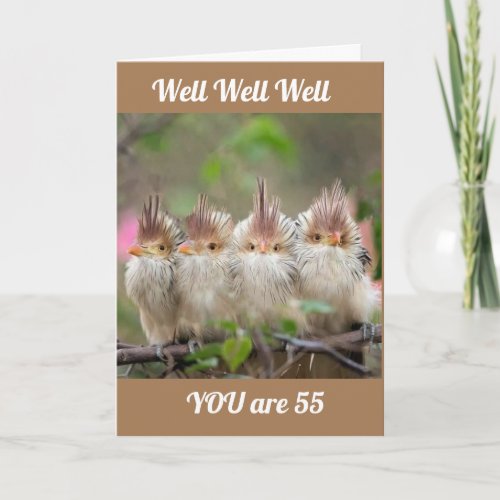 YOU DONT LOOK A DAY OVER 54 55th BIRTHDAY CARD
