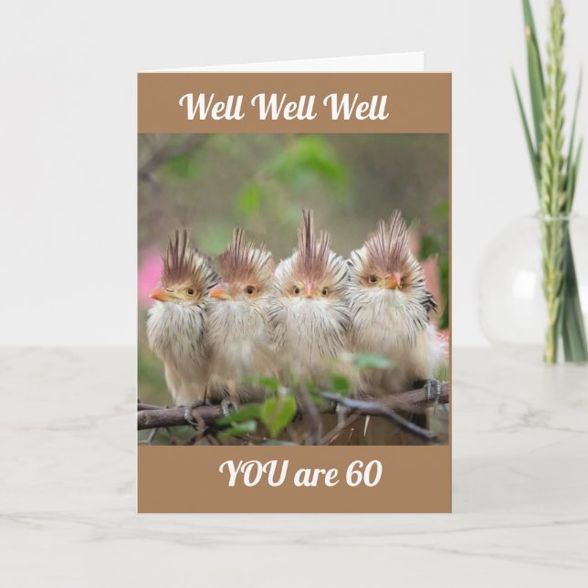 YOU DON'T LOOK A DAY OVER "59" *60th BIRTHDAY CARD (Front)