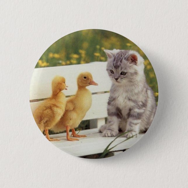 You Don't Look Like A Kitty? What Are You? Pinback Button (Front)