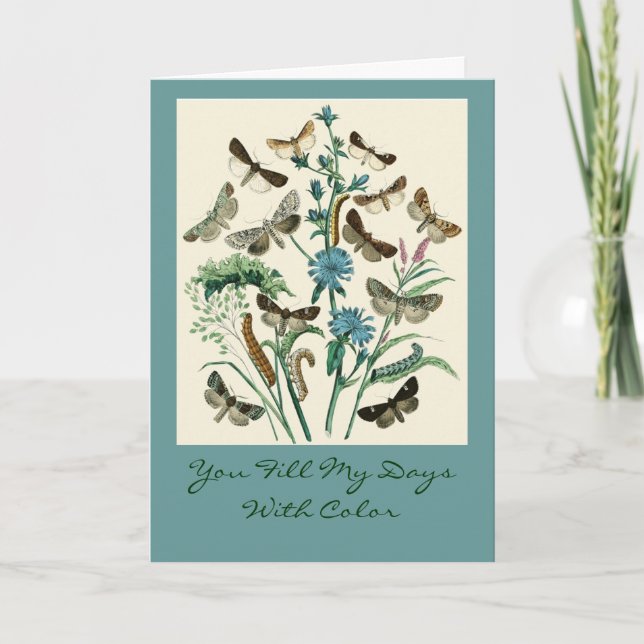 You Fill My Days With Color Card (Front)