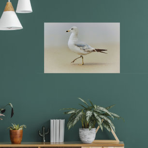 You Go Gull Sea Bird Beach Art Neutral Poster