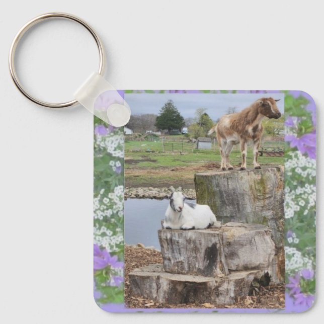 "You Goat to be kidding me!" Keychain (Front)