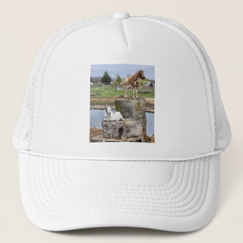 You Goat to be kidding me Trucker Hat