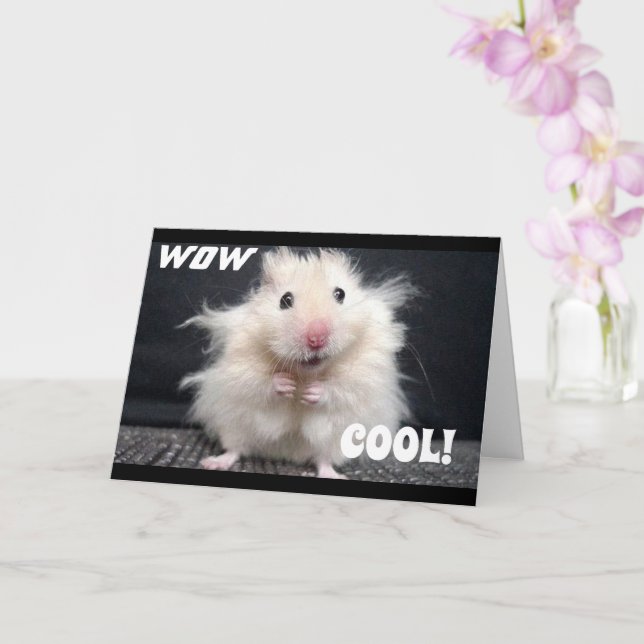 YOU GOT ***A KITTEN*** CONGRATULATIONS** CARD (Orchid)