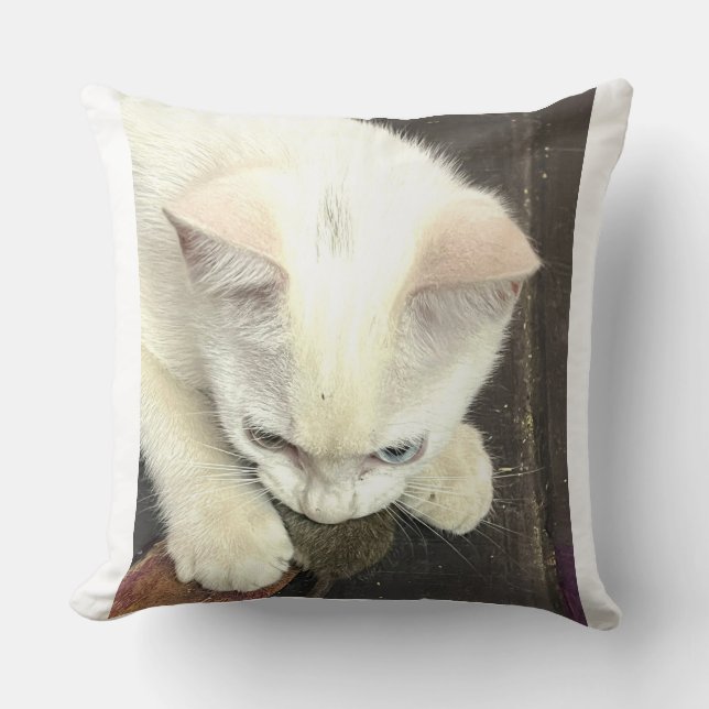 You Got Me!, Funny Anniversary Throw Pillow (Front)