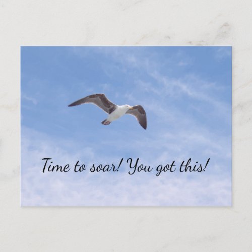 You got this Beautiful Bird Flying Motivational Postcard