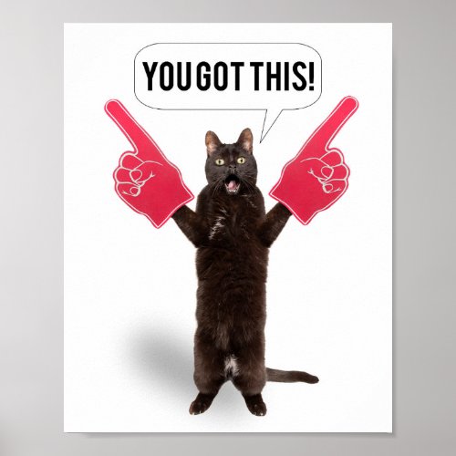 You Got This Encouragement Cat Cheering  Poster