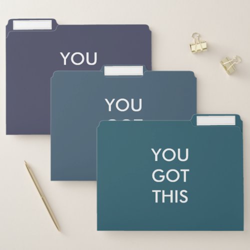 You Got This Motivational Quote Blue Green Purple File Folder