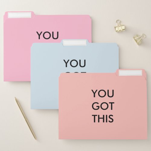 You Got This Motivational Quote Coral Blue Pink File Folder