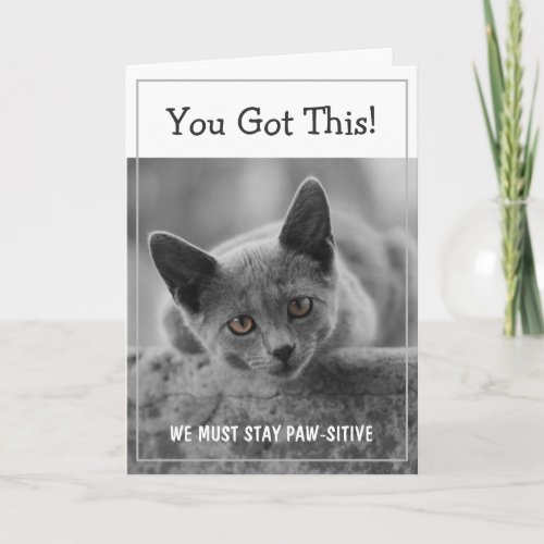 You Got This We Must Stay Paw_sitive Card