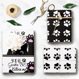 You Gotta Be Kitten Me Funny Cat Pattern Birthday Wrapping Paper Sheets